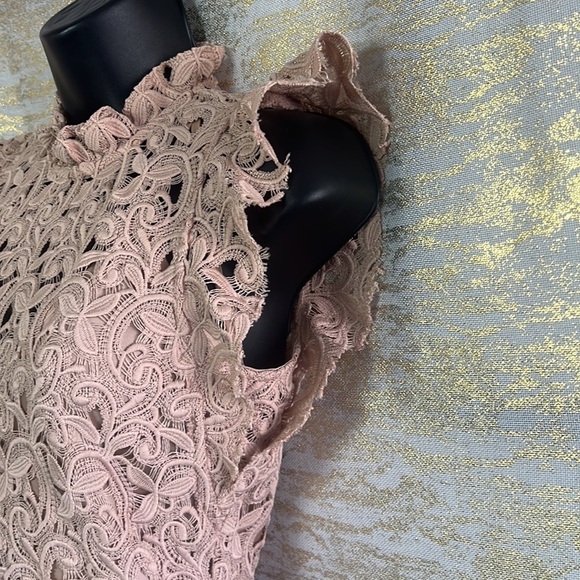 Zara Women’s Blush Pink Guipure Lace Knee Length Dress Size S - Picture 8 of 17